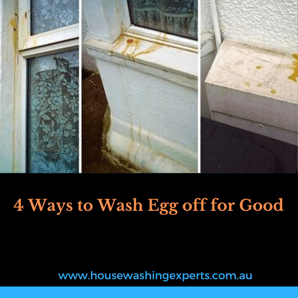 4 Ways to Wash Egg off for Good! 25 wash egg off your home