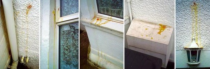 4 Ways to Wash Egg off for Good!