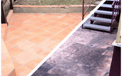 Window Cleaning & Washing