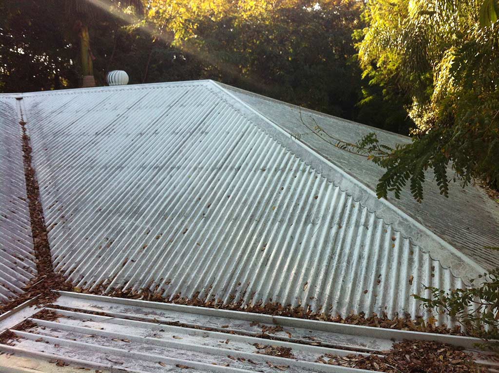 Photo of dirty roof with dead leaves on top