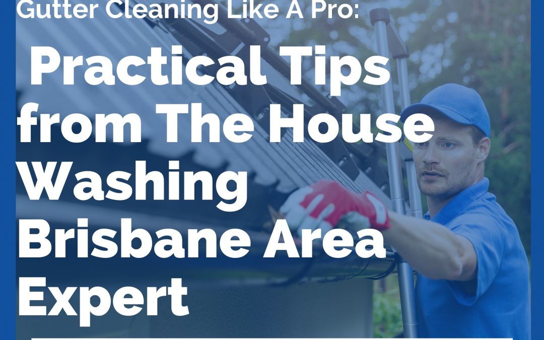 Gutter Cleaning