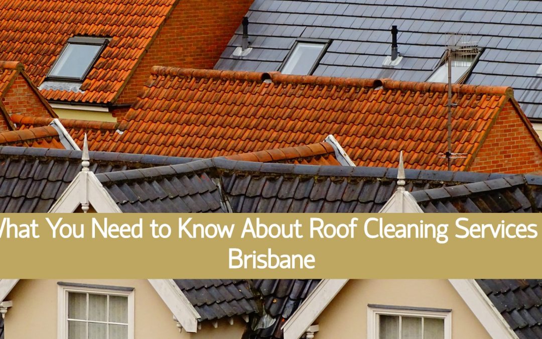 Roof Cleaning 101 – What You Need to Know