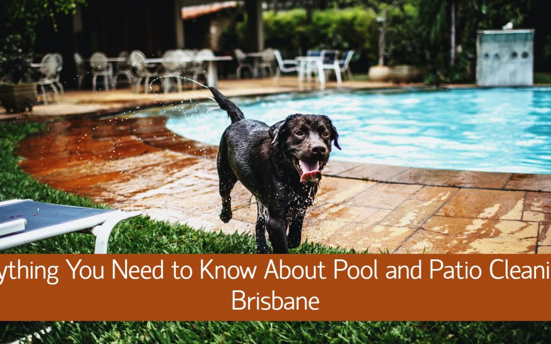 Everything You Need to Know About Pool and Patio Cleaning in Brisbane