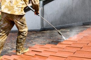 roof cleaning