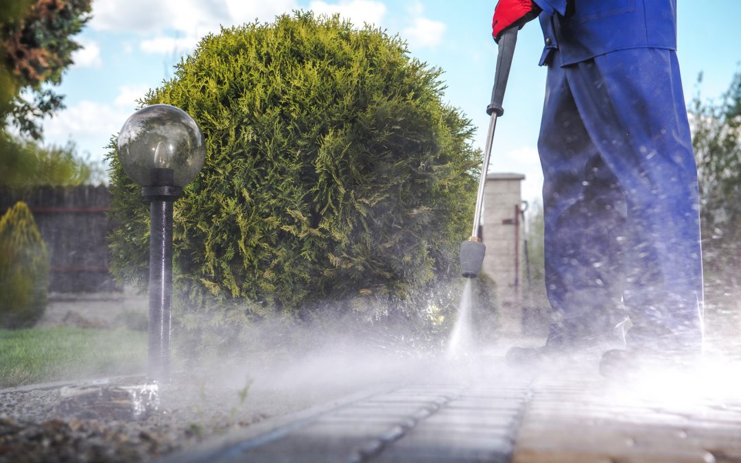 6 Essential Tips When Choosing a Driveway Cleaning Company