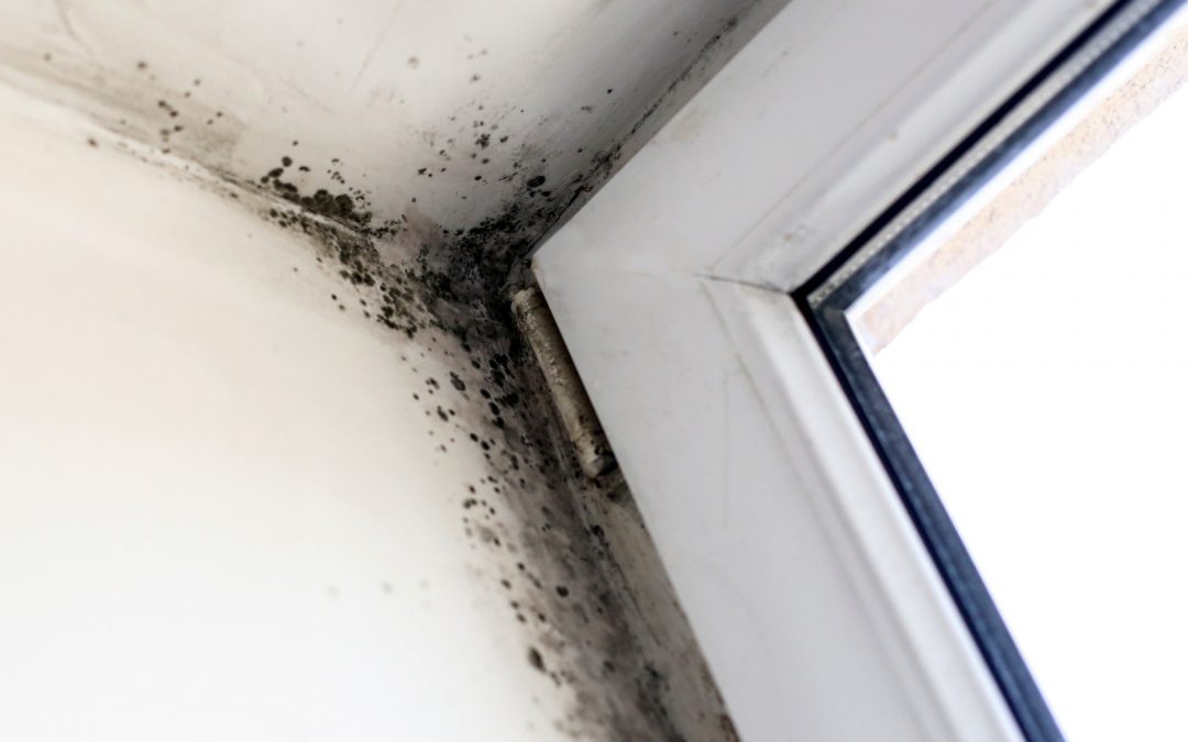 9 Tough Stains That Can Disappear with Pressure Washing