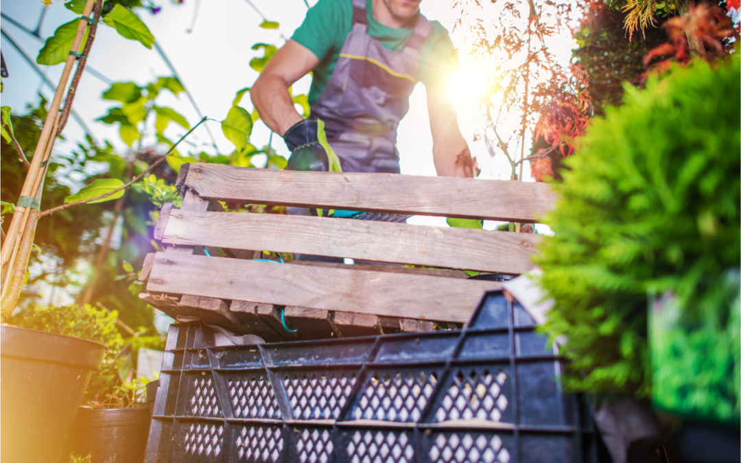 4 Ways How To Easily Declutter Your Outdoor Space