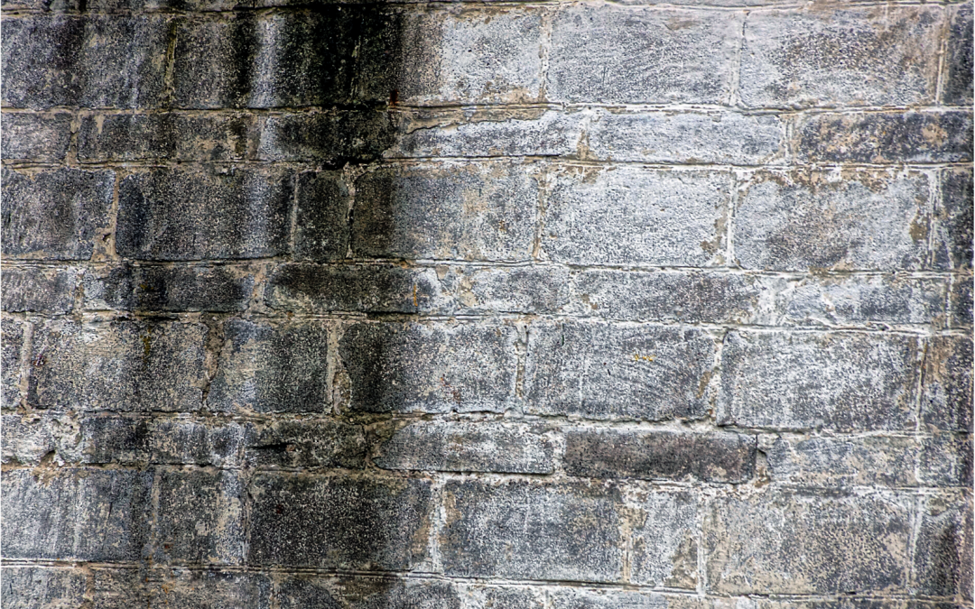 Have Soot And Char On Your Walls? Here’s the Solution