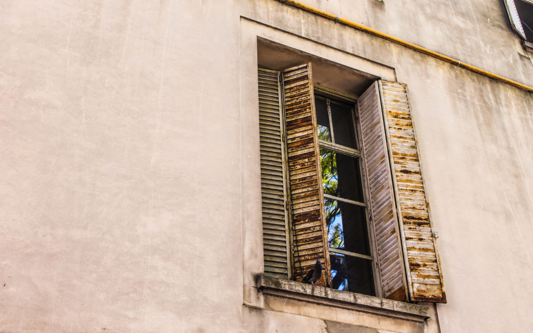 4 Common Window Issues You Might Encounter