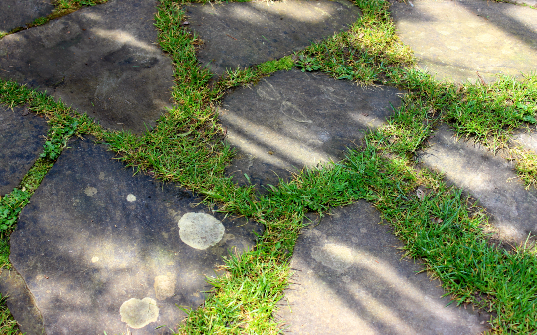 6 Tips On Preventing Weed Growth on Your Patio