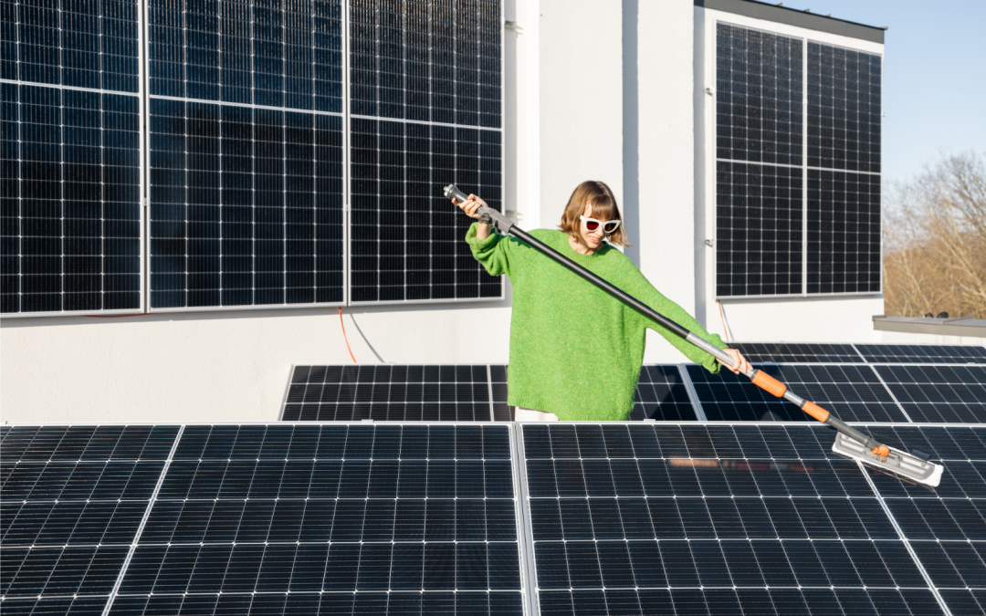 4 Common Pests In Solar Panels When Neglected