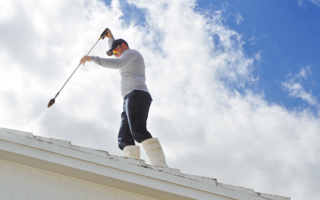 Delayed Roof Cleaning Process? Here Are The 6 Possible Reasons