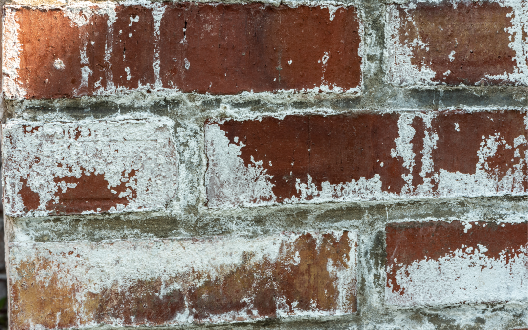 Efflorescence: Causes and Easy Removal Ways for Brick Walls