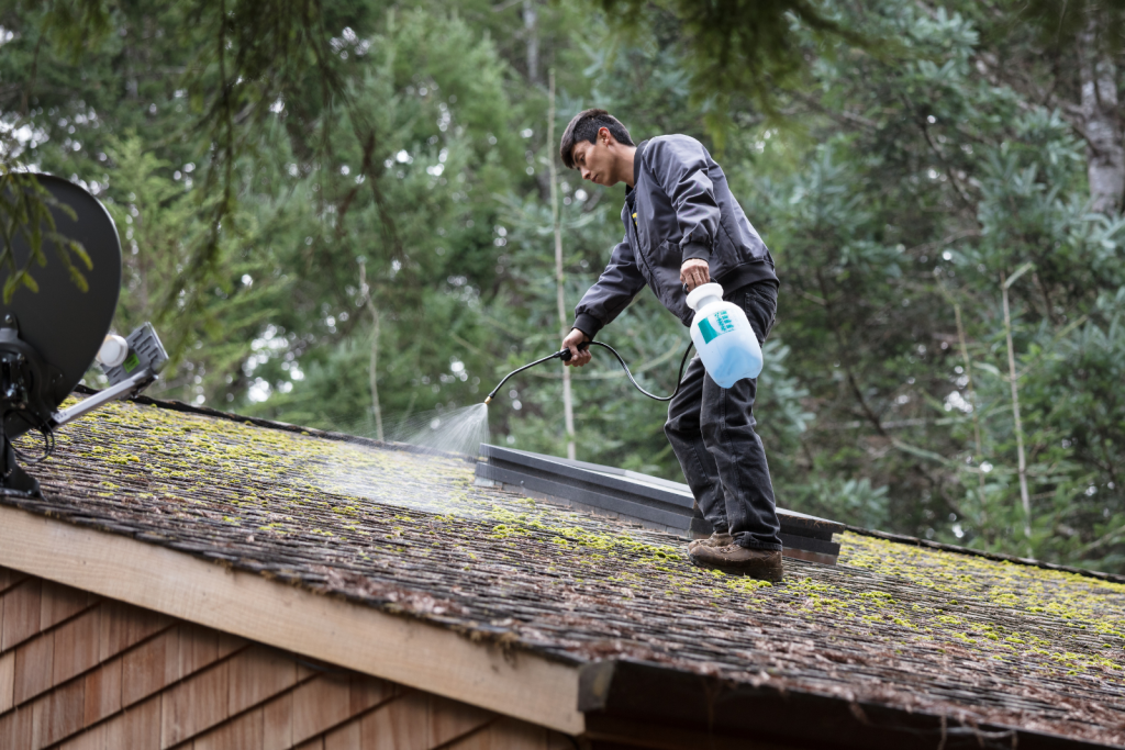 Neglected North-Facing Exteriors And Its 5 Unpleasant Impact 13 pressure washing moss