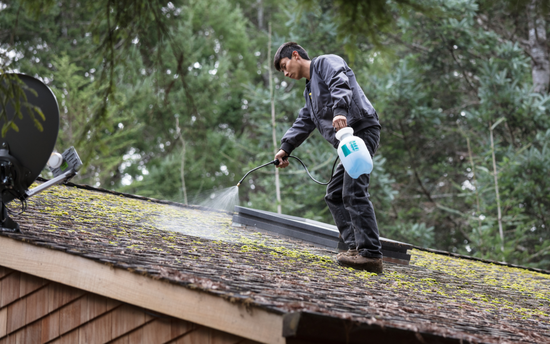 Neglected North-Facing Exteriors And Its 5 Unpleasant Impact