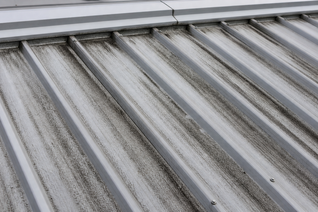 Roof Cleaning Brisbane 5 Roof Cleaning Brisbane 5