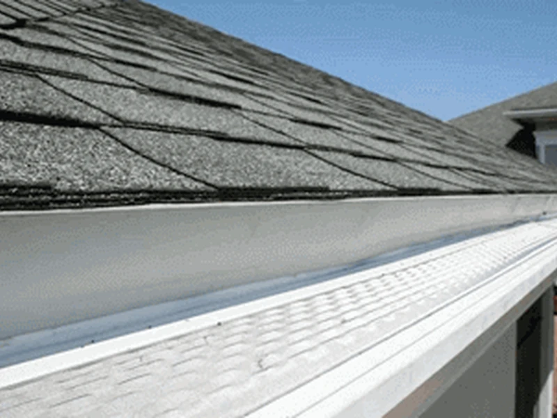 Gutter Cleaning