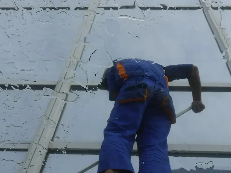Window Cleaning
