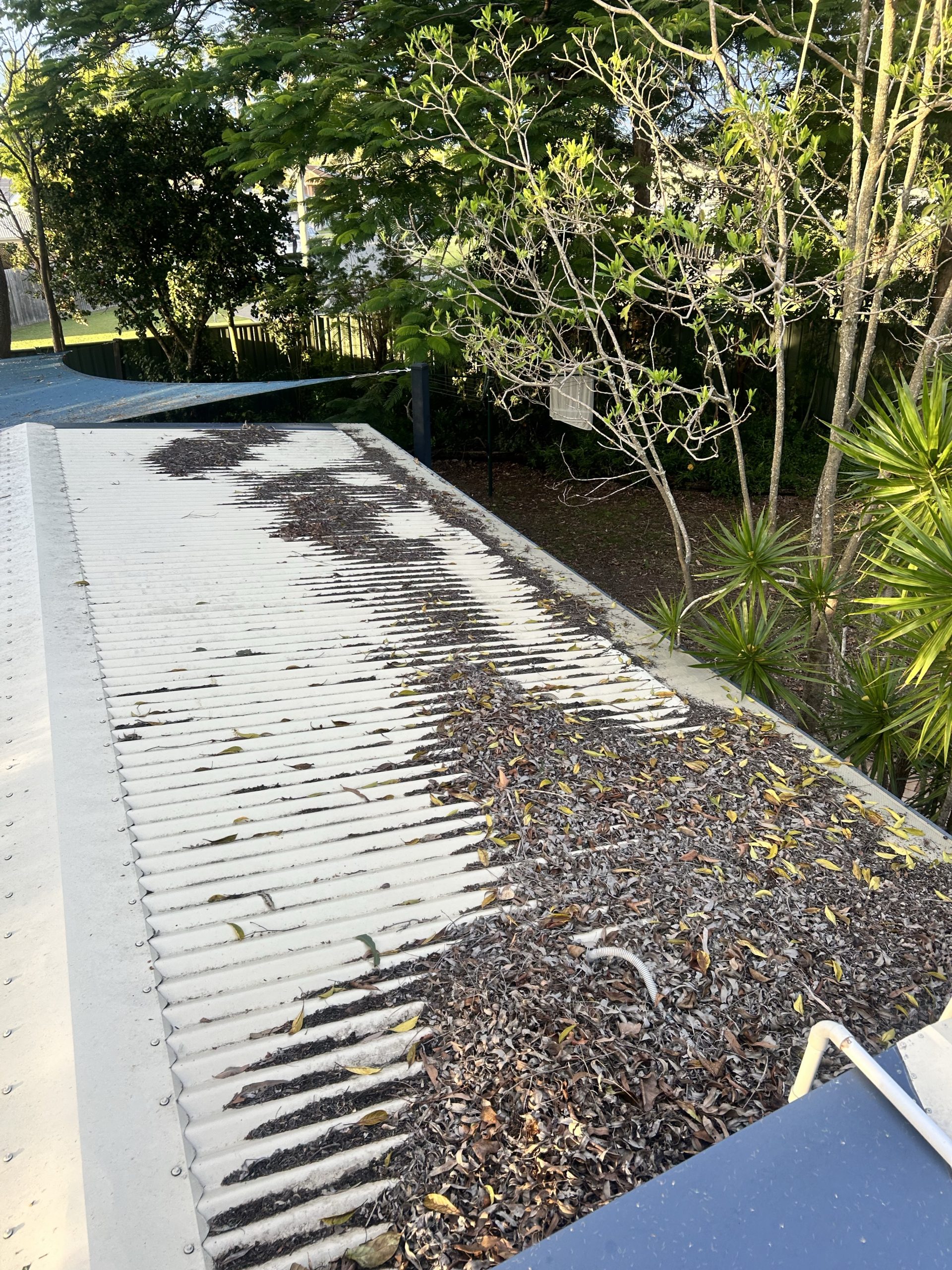 Soft Roof Cleaning Brisbane