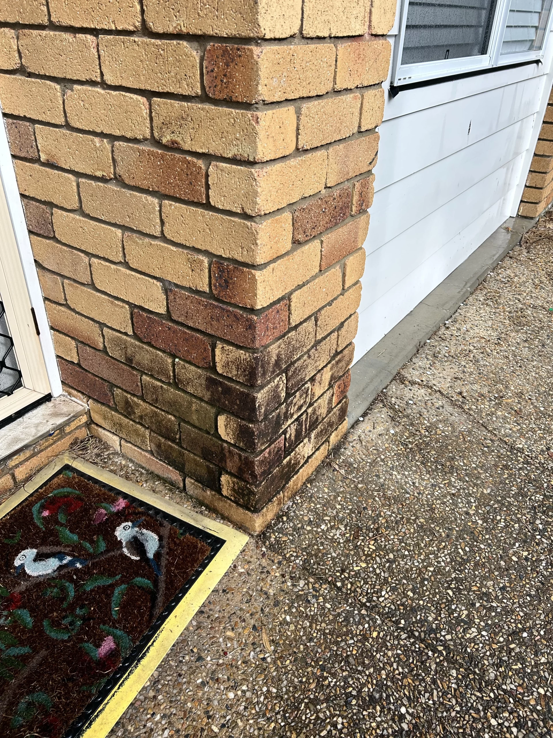 Brick Cleaning Brisbane 3