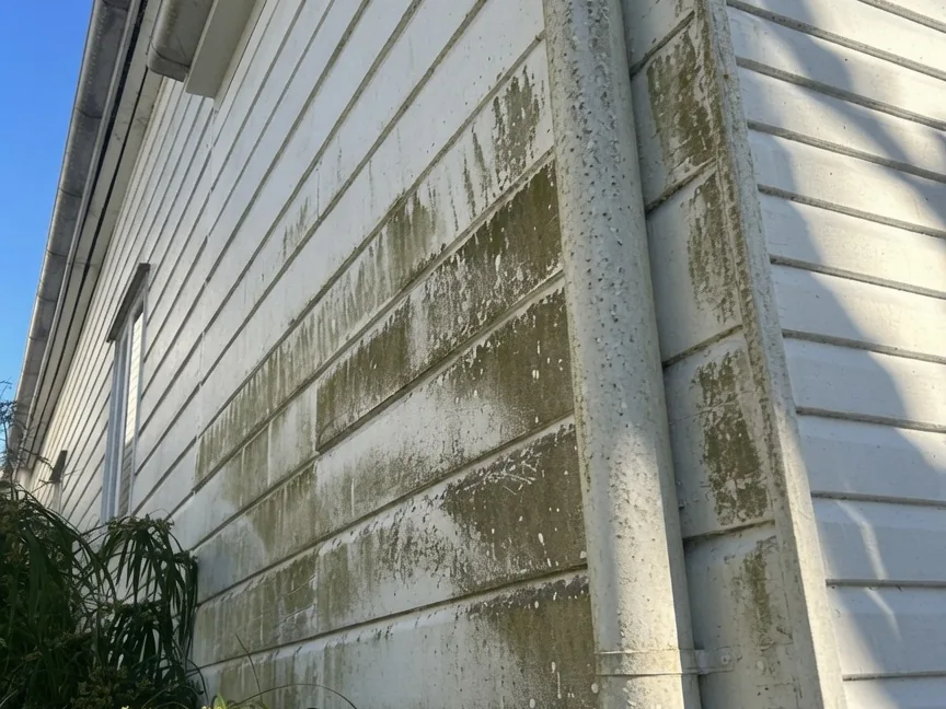 Brisbane weatherboard home before external house washing, covered in green mould and algae streaks