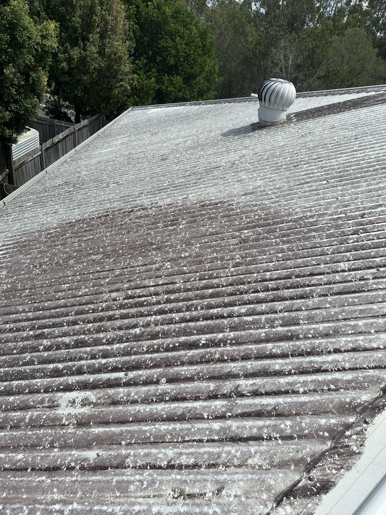 Metal Roof Cleaning 3