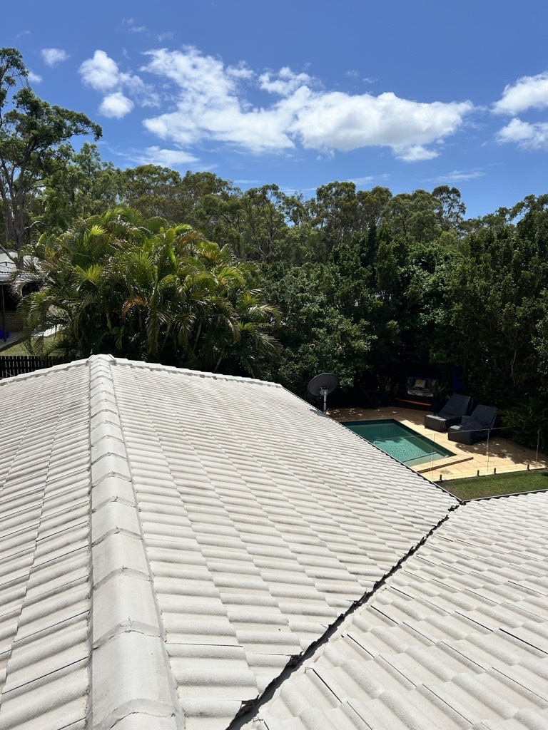 Terracotta Tile Roof Cleaning 1